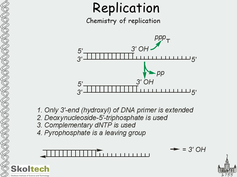 Replication Chemistry of replication